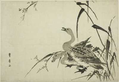 Villihanhet ja ruoko tekijältä Utagawa Toyohiro