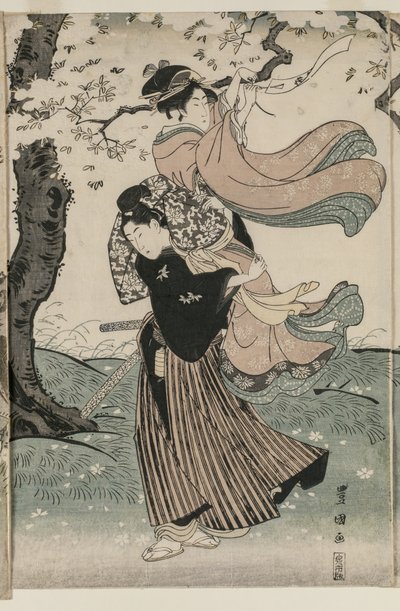 Kirsikankukkia tuulessa tekijältä Utagawa Toyokuni