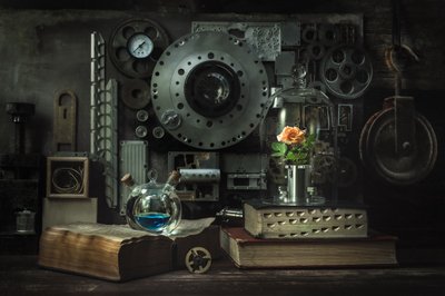 Steampunk-ruusun tutkimus tekijältä Vadim Kulinsky