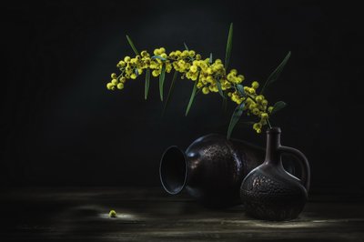 Keltainen mimosa - asetelma tekijältä Vadim Kulinsky