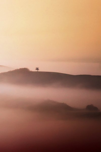 Lone Tree Golden Mist tekijältä Vanja Tajnsek