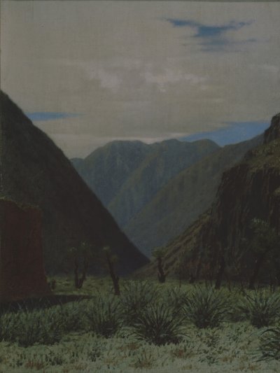 Barskaun vuoristosola tekijältä Vasili Vasilievich Vereshchagin