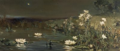 Tähti yössä tekijältä Vasilii Kotarbinsky