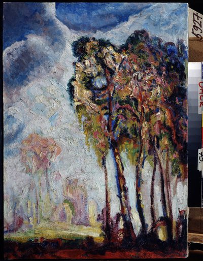 ""Paisatge amb arbres"" Pintura de Vasily Ivanovich Denisov (1862-1921) 1914 Regional M. Vrubel Art Museum, Omskfinnish tekijältä Vasily Ivanovich Denisov