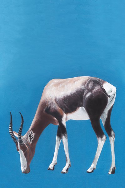 Blesbok laiduntaa sinisellä tekijältä Viccy Wanliss