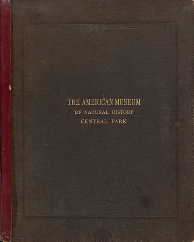 American Museum of Natural Historyn valokuva-albumi, Central Park, New York City tekijältä Victor Prevost, Gaston L. Feuardent and Co., New York