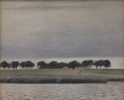 Solregnin alustava tutkimus. Gentoftejärvi, 1903. tekijältä Vilhelm Hammershøi
