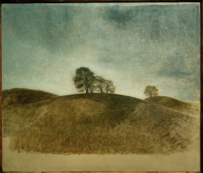 Dunkebakke, Frederiksvaerk tekijältä Vilhelm Hammershoi