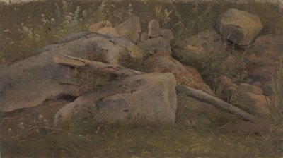 Kivikasan tutkimus tekijältä Vilhelm Petersen