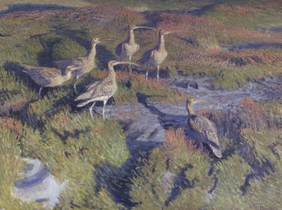 Rain pover valmis nousuun tekijältä Vilhelm Th. Fischer