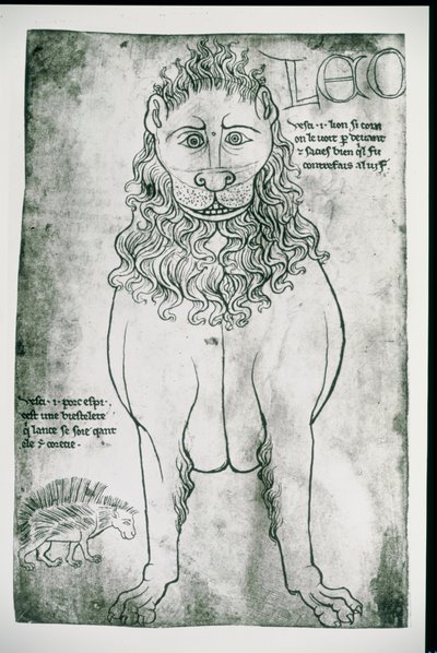Ms Fr 19093 fol.24v Lion and Porcupine (faksimile) tekijältä Villard de Honnecourt