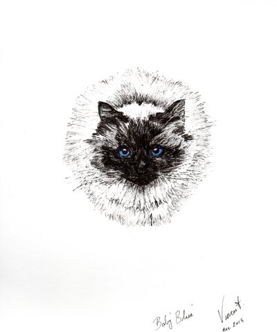 Vauvan pallo, 2015, (muste paperille) tekijältä Vincent Alexander Booth