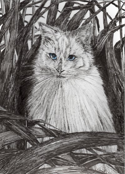Jungle Monty, 2015, (muste paperille) tekijältä Vincent Alexander Booth