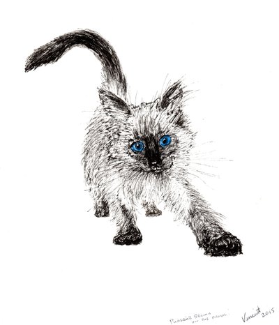 On the Prowl !, 2015, (muste paperille) tekijältä Vincent Alexander Booth