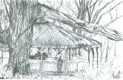 Ulkobaari, Naivasha-järvi, 2006; (mustetta paperille) tekijältä Vincent Alexander Booth