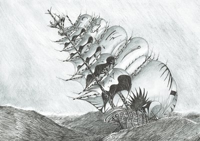Myrskynluojat Itä-Kiinanmeri, 2017, (Tussi paperille) tekijältä Vincent Alexander Booth