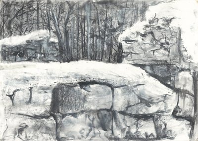 Wall in the Woods Osmotherley tekijältä Vincent Alexander Booth