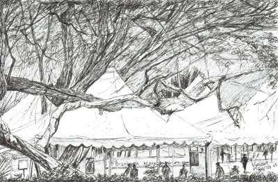 Hääteltat Nawesha-järvellä Kenia, 2003 tekijältä Vincent Alexander Booth