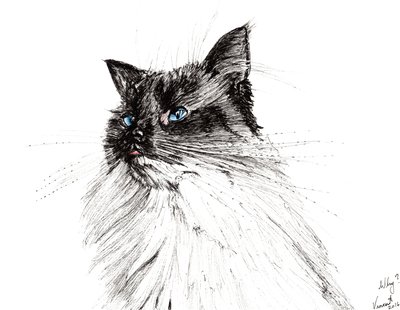 Miksi? 2016, (muste paperille) tekijältä Vincent Alexander Booth