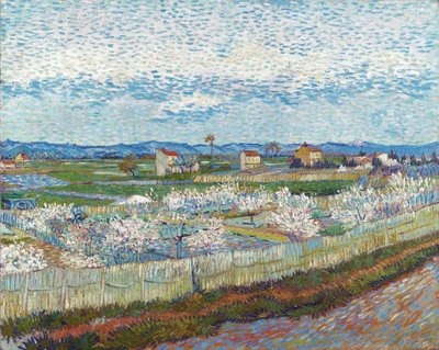 Peach Trees in Blossom, 1889. tekijältä Vincent van Gogh