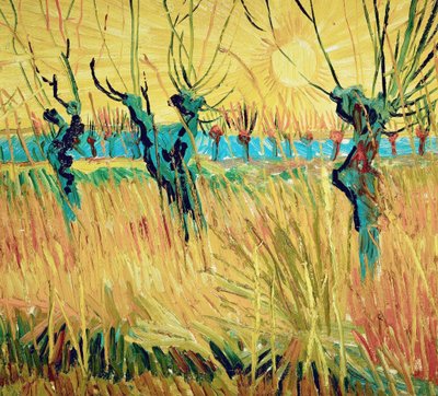 Pajut auringonlaskun aikaan, 1888. tekijältä Vincent van Gogh
