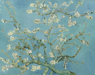 Mantelinkukka tekijältä Vincent van Gogh