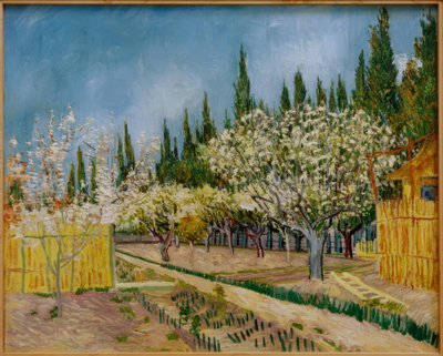 Blühender Obstgarten, von Zypressen umgeben tekijältä Vincent van Gogh
