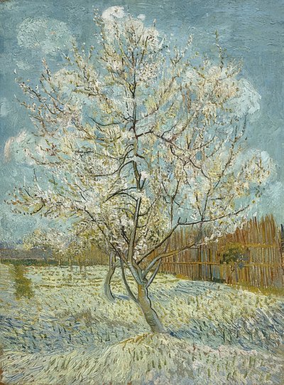 Persikkapuu kukassa (vaaleanpunainen). Arles, huhti-toukokuu 1888 tekijältä Vincent van Gogh