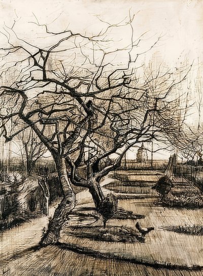 Nuenen pappilan puutarha. 1884 tekijältä Vincent van Gogh