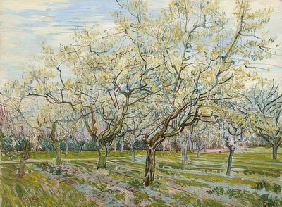 Valkoinen hedelmätarha. 1888 tekijältä Vincent van Gogh