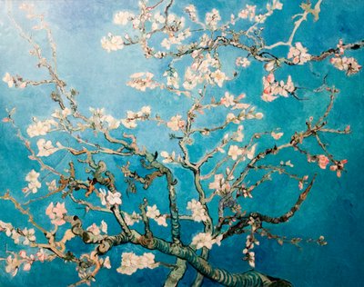 hollantilainen: Amandelbloesem kukkiva mantelin oksapuu tekijältä Vincent van Gogh