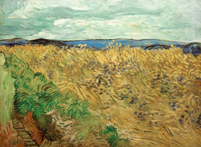 Feld, mit Kornblumen tekijältä Vincent van Gogh