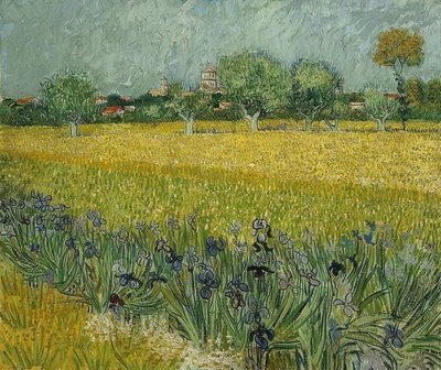 Kenttä iiristen kanssa lähellä Arles. toukokuuta 1888 tekijältä Vincent van Gogh