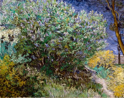 Lila pensas. Vincent VAN GOGH (1853-1890) tekijältä Vincent van Gogh