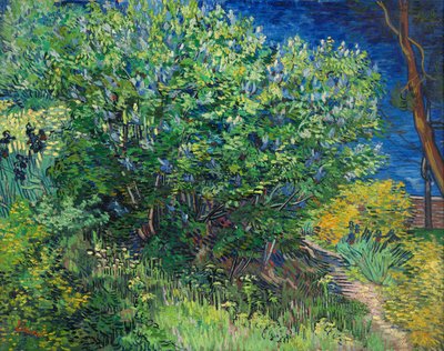 Liljat tekijältä Vincent van Gogh