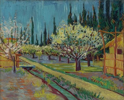 Sypressipuiden ympäröimä hedelmätarha. 1888 tekijältä Vincent van Gogh