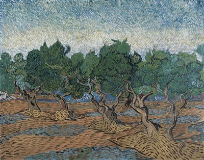 Oliivilehto tekijältä Vincent van Gogh