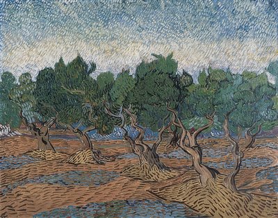 Oliivilehto. 1889 tekijältä Vincent van Gogh