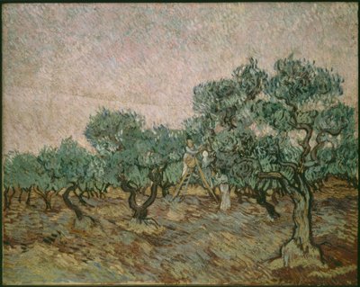Oliivinpoimija tekijältä Vincent van Gogh
