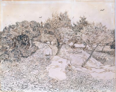 Oliivipuita Montmajourissa tekijältä Vincent van Gogh