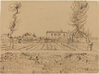 Plowman in the Fields lähellä Arles, 1888. tekijältä Vincent van Gogh