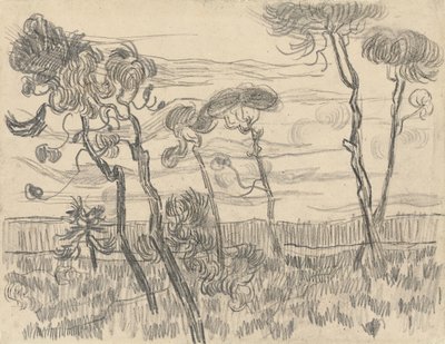 Kuusi mäntyä lähellä kotelon seinää, 1899 tekijältä Vincent van Gogh