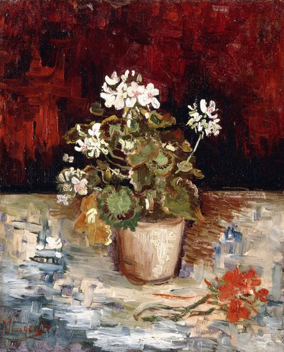 Pelargoniumien asetelma, 1886 tekijältä Vincent van Gogh