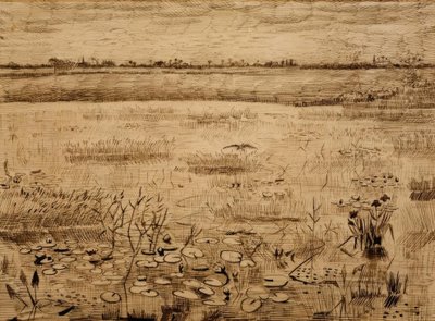 Suo maisema vesililjat tekijältä Vincent van Gogh