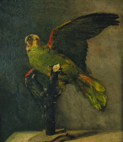 Vihreä papukaija; Le Perroquet Vert, 1885 tekijältä Vincent van Gogh