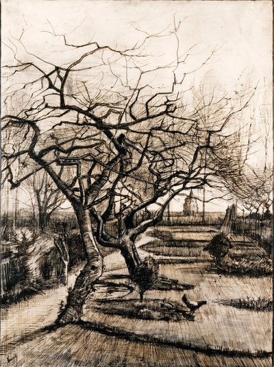 Nuenen pappilan puutarha talvella - Oeuvre de Vincent, van Gogh (1853-1890) - 1884 - Kynä, sivellin, muste paperille - 51,5x38 - Szepmuveszeti Muzeum, Budapest tekijältä Vincent van Gogh