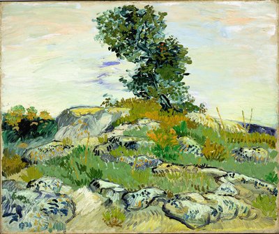 The Rocks tekijältä Vincent van Gogh