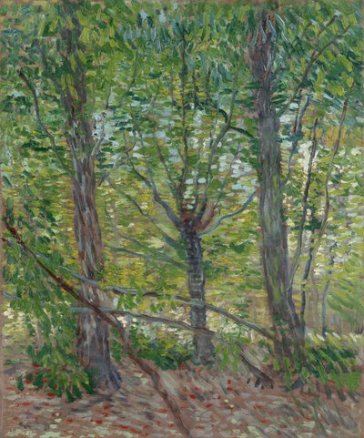 tekijältä Vincent van Gogh