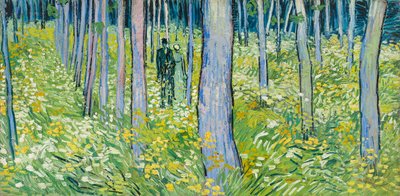 Aluskasvua, jossa on kaksi kuvaa tekijältä Vincent van Gogh