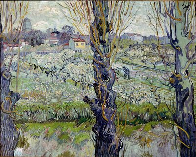 Näkymä Arlesiin. Vincent Van Goghin (1853-1890) maalaus tekijältä Vincent van Gogh